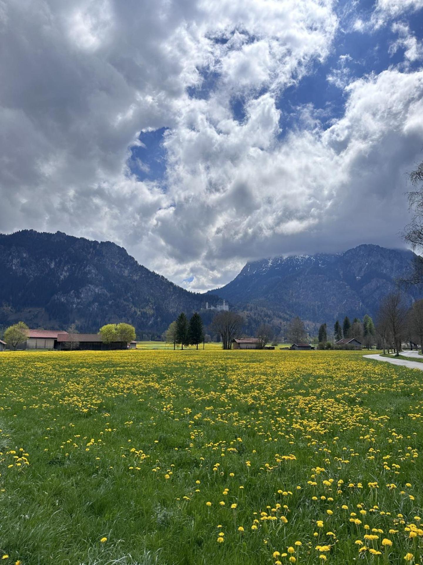 Gaestehaus Apollo Daire Schwangau Dış mekan fotoğraf